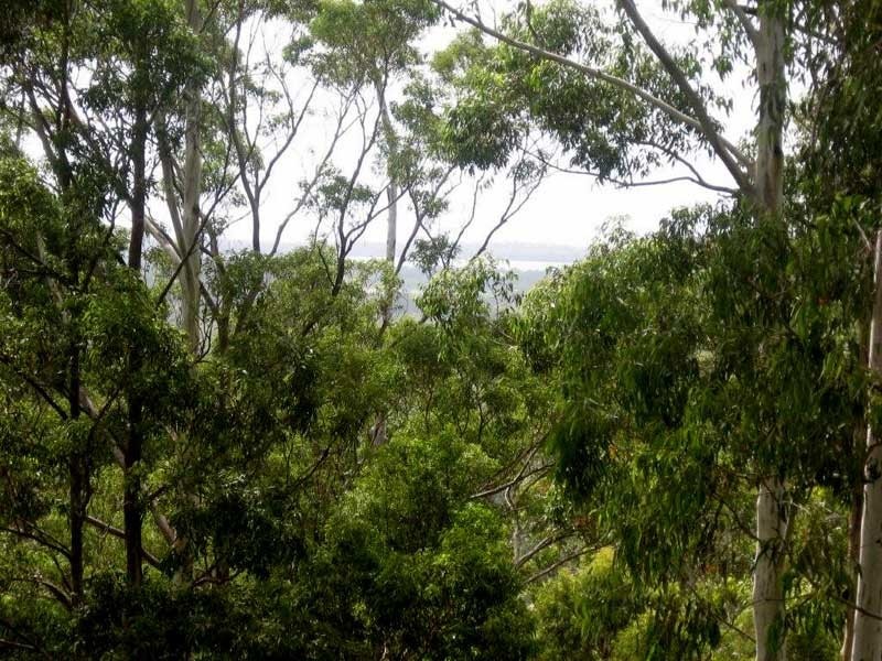 Tinbeerwah QLD 4563