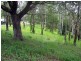 Tinbeerwah QLD 4563