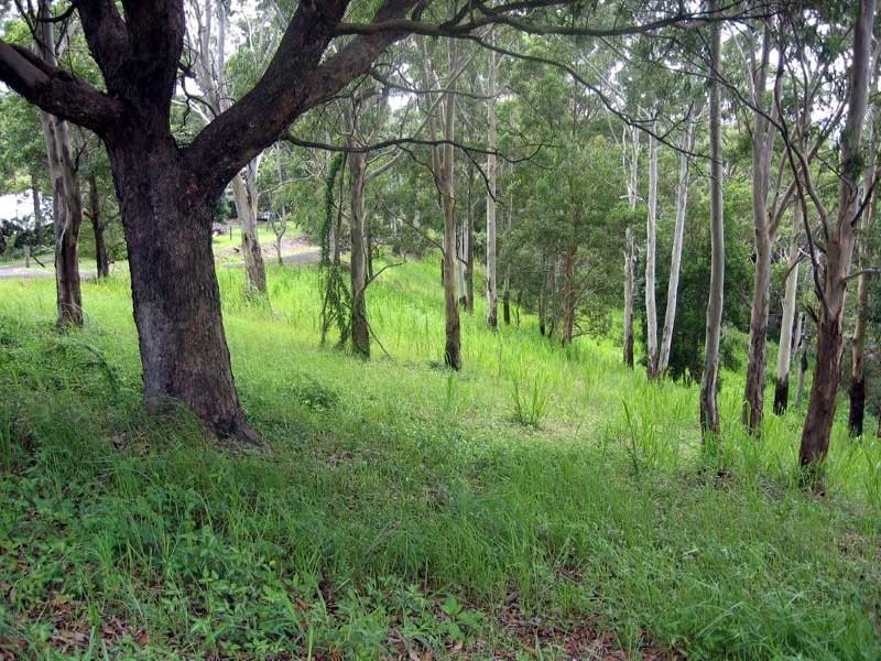 Tinbeerwah QLD 4563