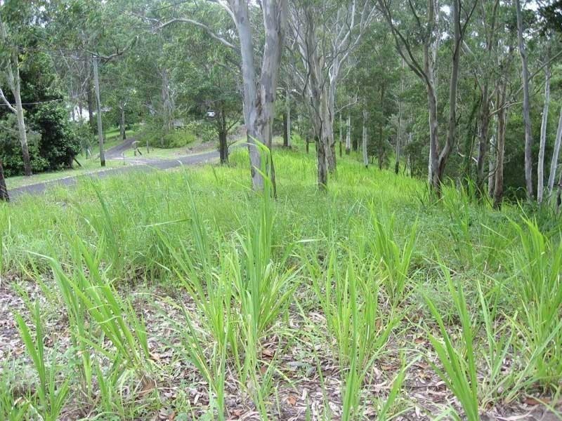 Tinbeerwah QLD 4563