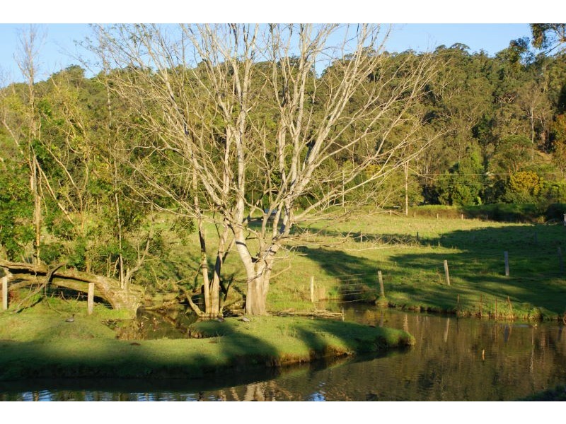 Eumundi QLD 4562