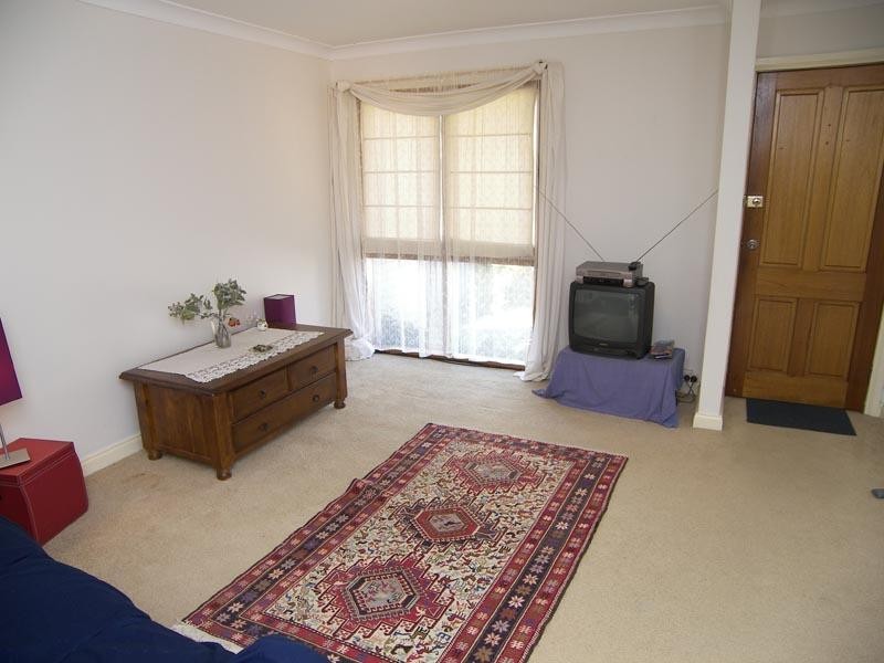 3b Bungay Street, Leichhardt NSW 2040