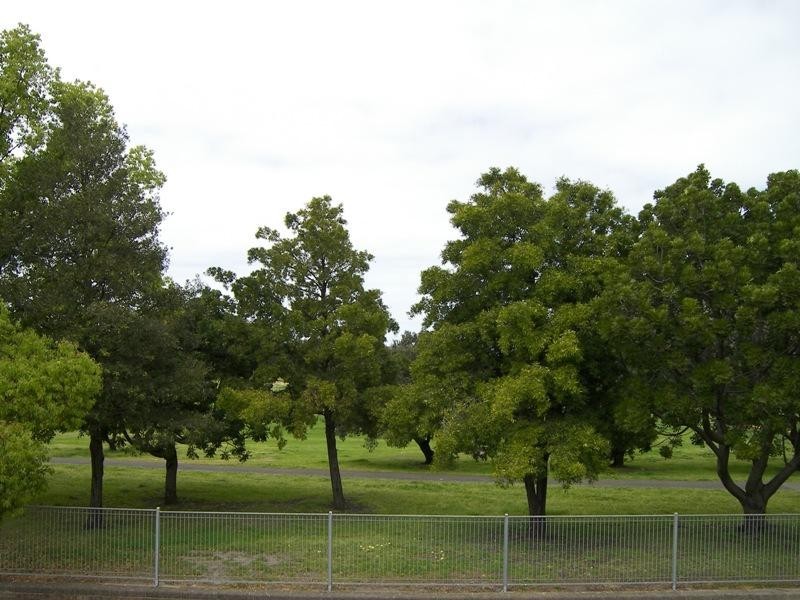 102 Thornley Street, Marrickville NSW 2204