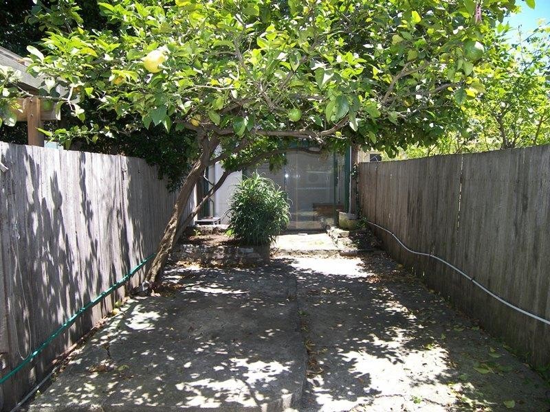 24 Philpott Street, Enmore NSW 2042