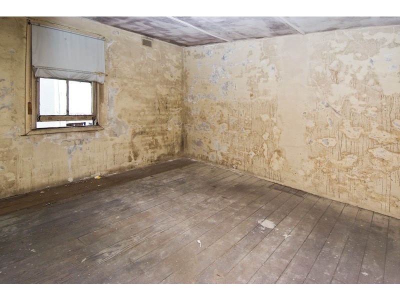 156 Shepherd Street, Darlington NSW 2008