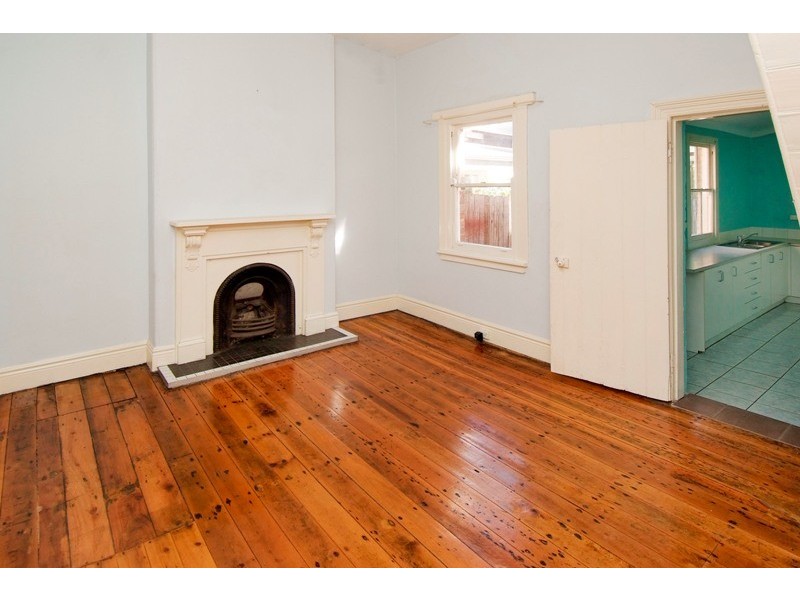 113 May Street, St Peters NSW 2044