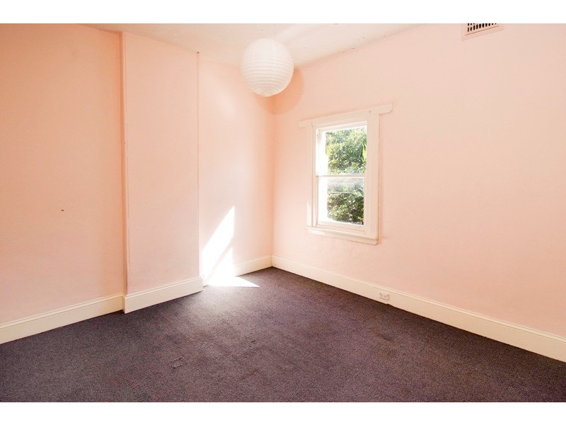 113 May Street, St Peters NSW 2044