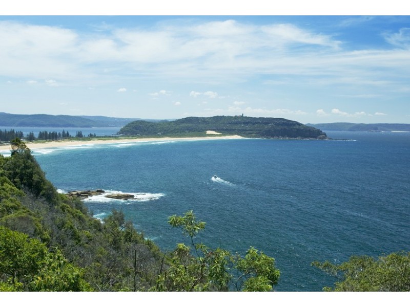 342 WHALE BEACH ROAD, Palm Beach NSW 2108