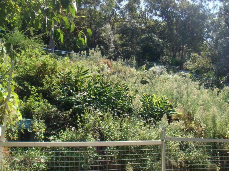 916 BARRENJOEY ROAD, Palm Beach NSW 2108
