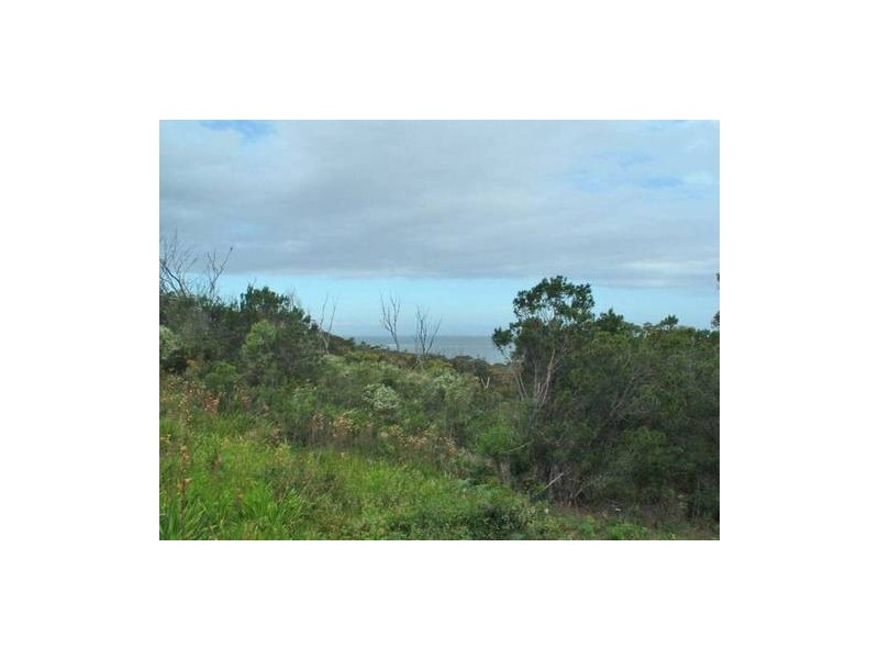 28 Braidwood Ave, Burrill Lake NSW 2539