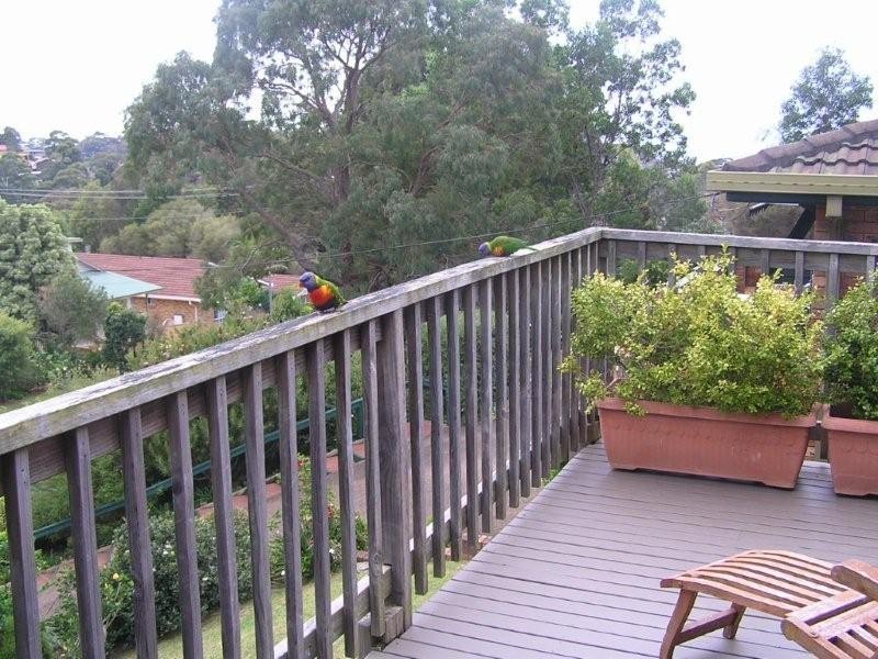 Mollymook NSW 2539