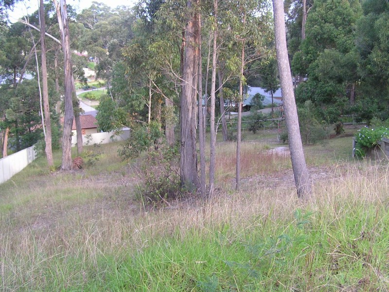 Narrawallee NSW 2539