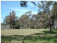 Bawley Point NSW 2539