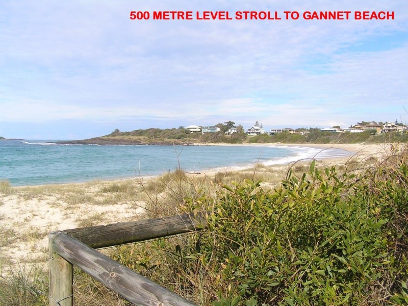 1 Wonnawong Place, Bawley Point NSW 2539