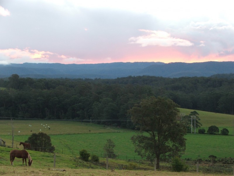 1115B Princes Highway, Conjola NSW 2539