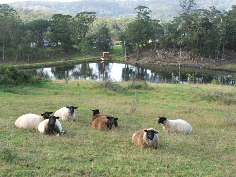 1115B Princes Highway, Conjola NSW 2539