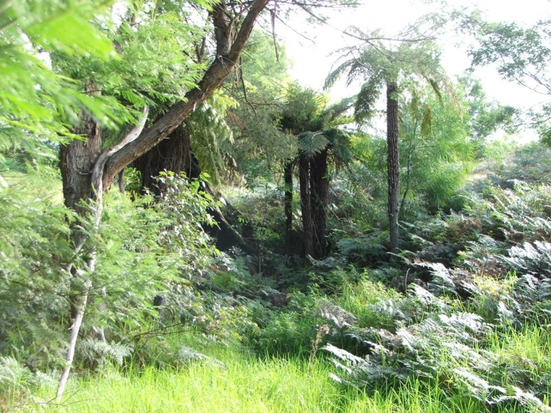 1115B Princes Highway, Conjola NSW 2539