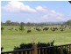 E153B Princes Highway, Milton NSW 2538