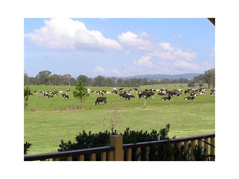 E153B Princes Highway, Milton NSW 2538