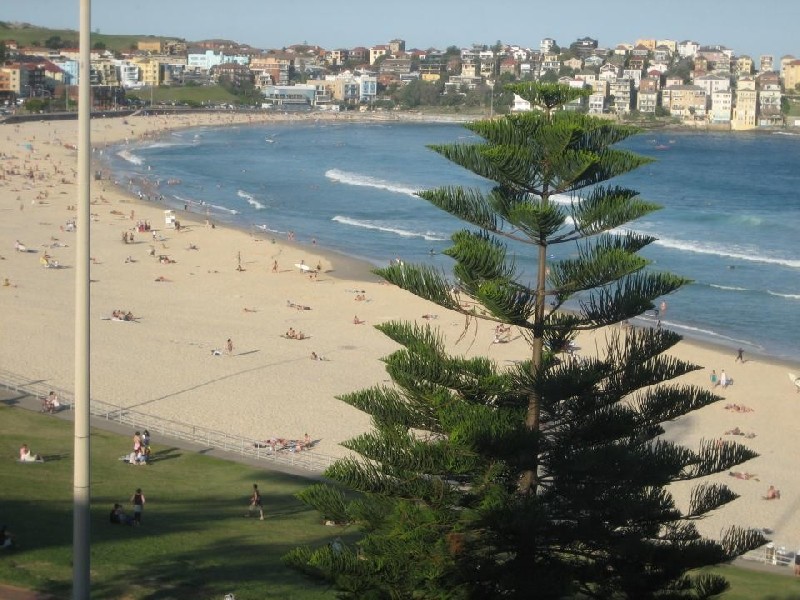 152 Glenayr Avenue, Bondi Beach NSW 2026