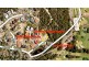 9 Wolbah Place, Cromer Heights NSW 2099