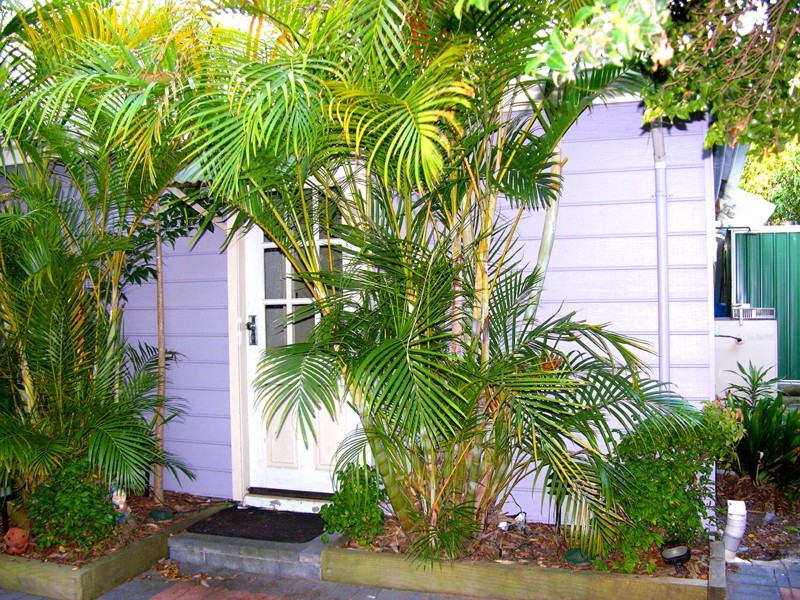 110 Abbott Road, North Curl Curl NSW 2099