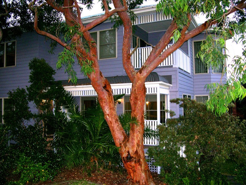 110 Abbott Road, North Curl Curl NSW 2099