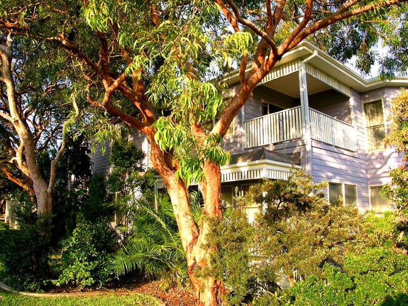 110 Abbott Road, North Curl Curl NSW 2099
