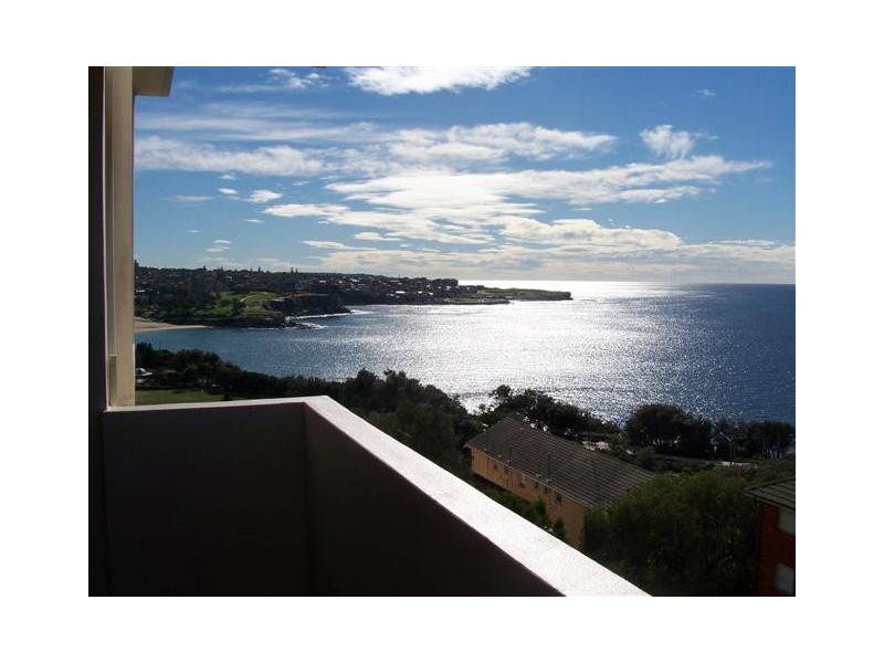 13/247 OBERON STREET, Coogee NSW 2034