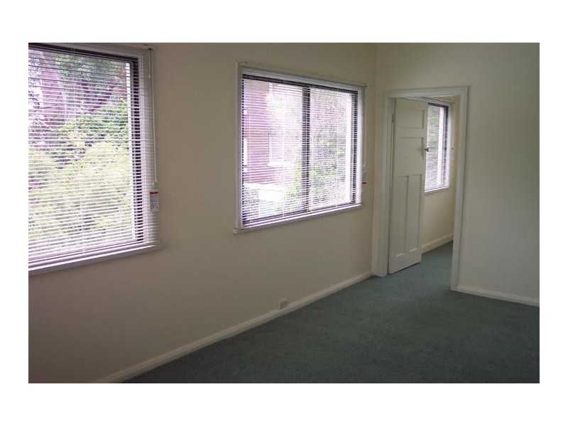 3/58 ARCADIA STREET, Coogee NSW 2034