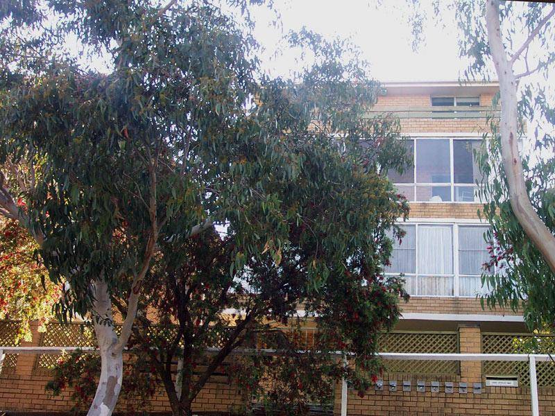 Botany Street, Randwick NSW 2031