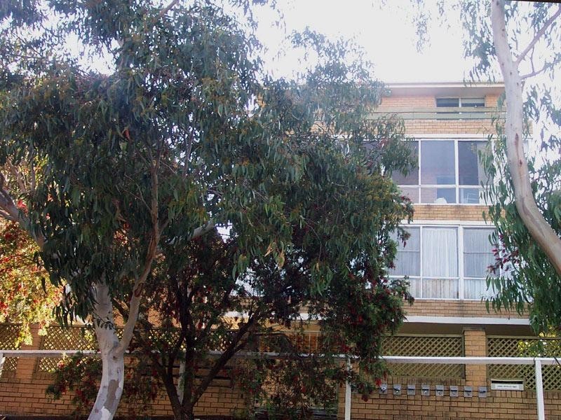 Botany Street, Randwick NSW 2031