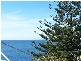 39 Denning Street, South Coogee NSW 2034