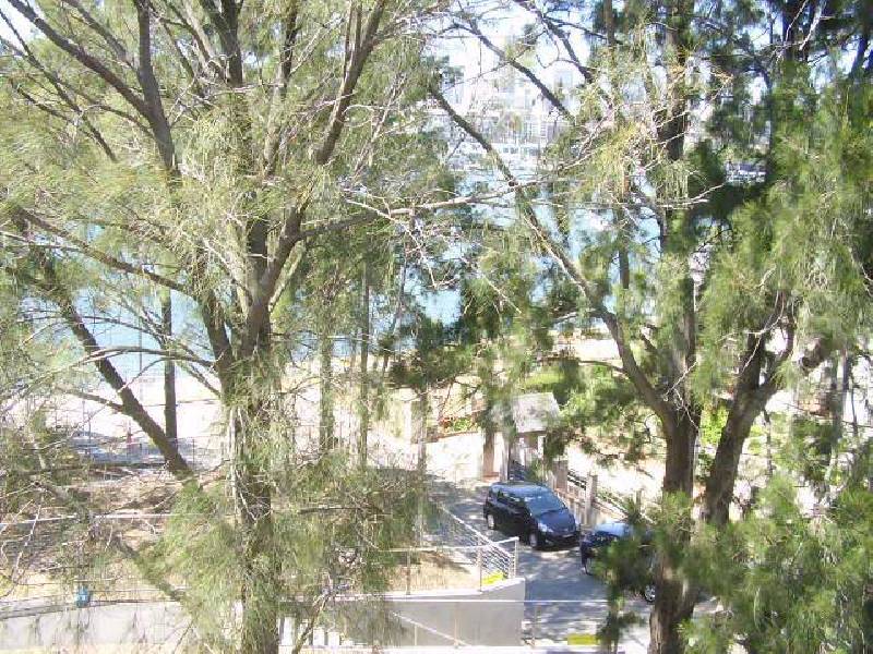 26 Cook Street, Glebe NSW 2037