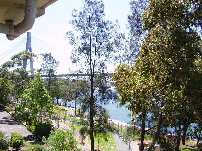 26 Cook Street, Glebe NSW 2037