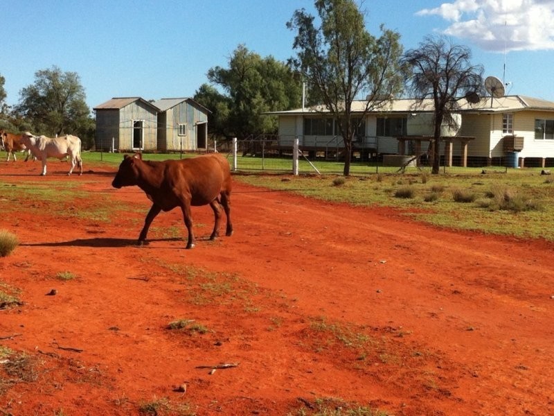 Cunnamulla QLD 4490