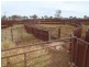 Cunnamulla QLD 4490