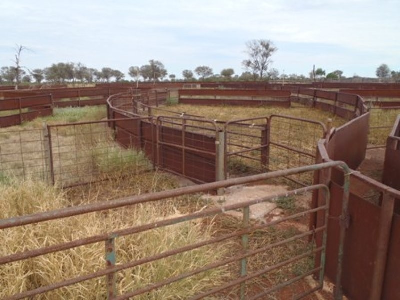 Cunnamulla QLD 4490
