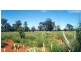 Cunnamulla QLD 4490