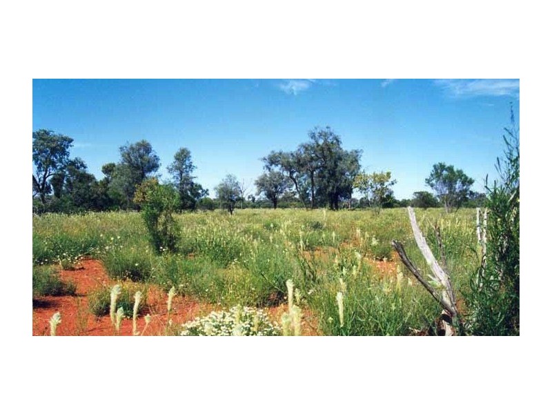 Cunnamulla QLD 4490