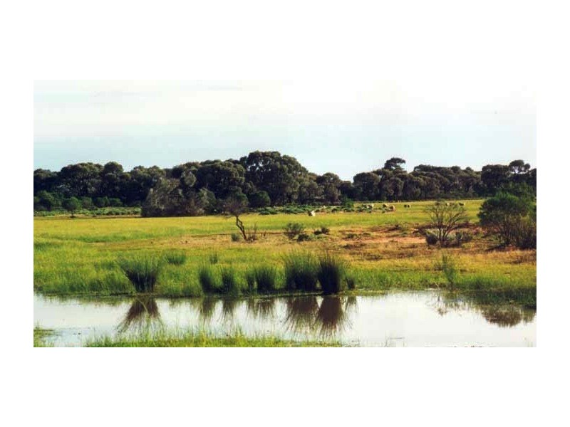 Cunnamulla QLD 4490