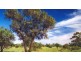 Cunnamulla QLD 4490