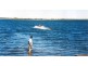 Cunnamulla QLD 4490