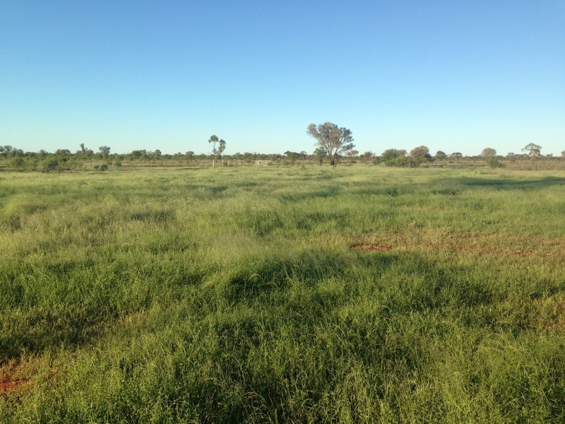 Cunnamulla QLD 4490