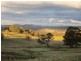 Walcha NSW 2354
