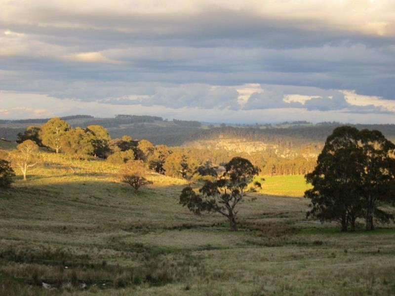 Walcha NSW 2354