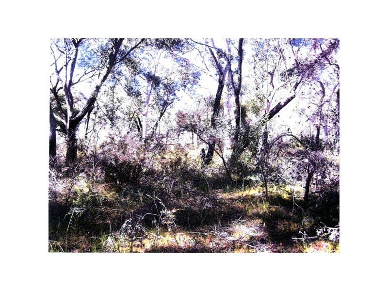 320 LOT 320 Eerebeenee Grove,, Worrowing Heights NSW 2540