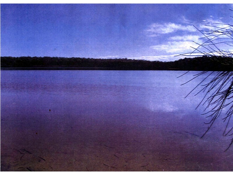 320 LOT 320 Eerebeenee Grove,, Worrowing Heights NSW 2540