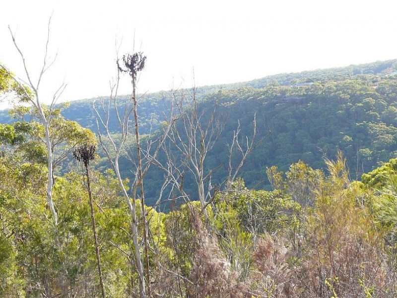 15/127 Cooriengah Heights Road, Engadine NSW 2233