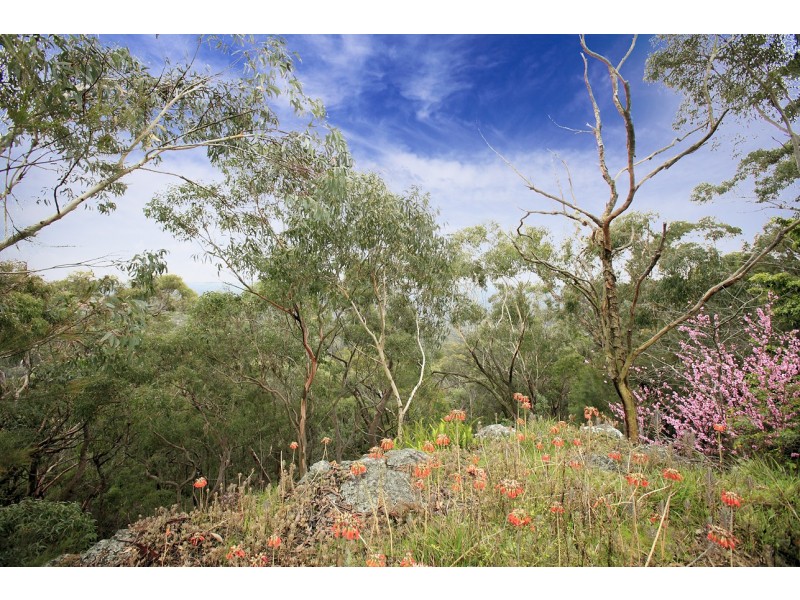 3 Gwydir Street, Engadine NSW 2233